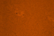 Sole  12-05-29 12-07-59