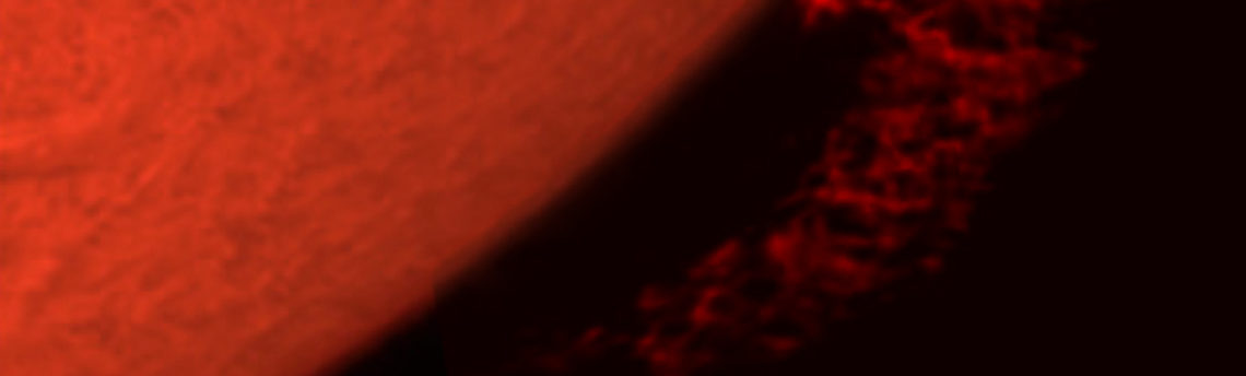 Protuberanza Solare12-07-26 13-58-52 h 11 58 52 UT