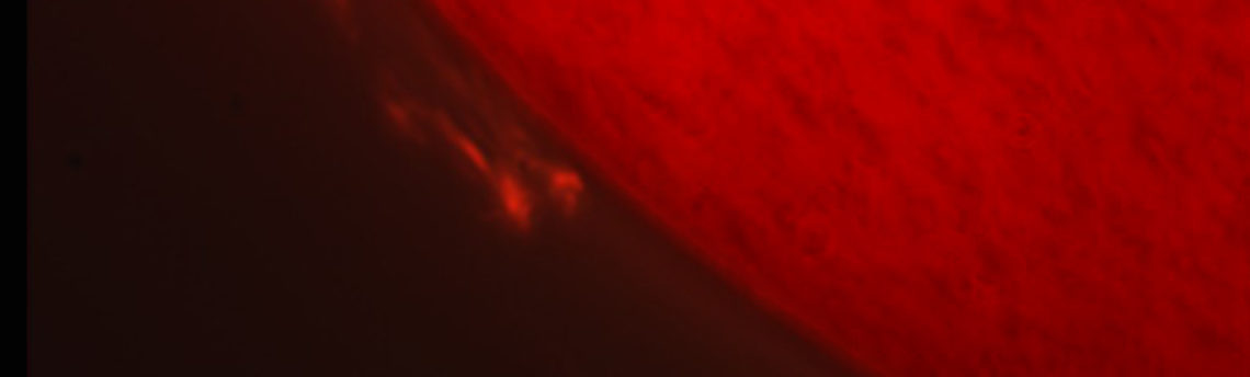 Sole 12-07-08 h 13-31-50 UT
