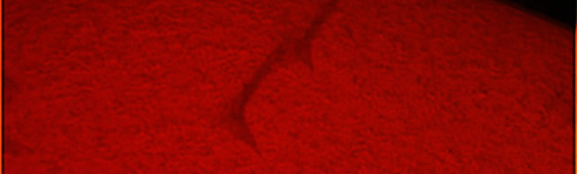 Sole12-07-03-11-53-32 UT Coronado