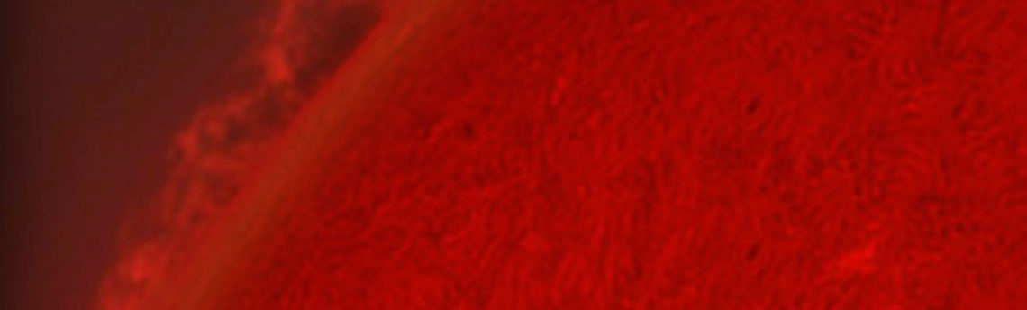 Protuberanza Siepe 01- 07 -2012 h 08 28 UT Corondo Solarmx 40mm