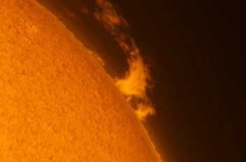 Sole  FAL col 12-07-22 11-20-22 UT