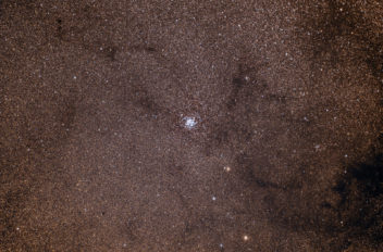 Nebulosa M11 di Elio Magnabosco Gruppo Gastrofili 