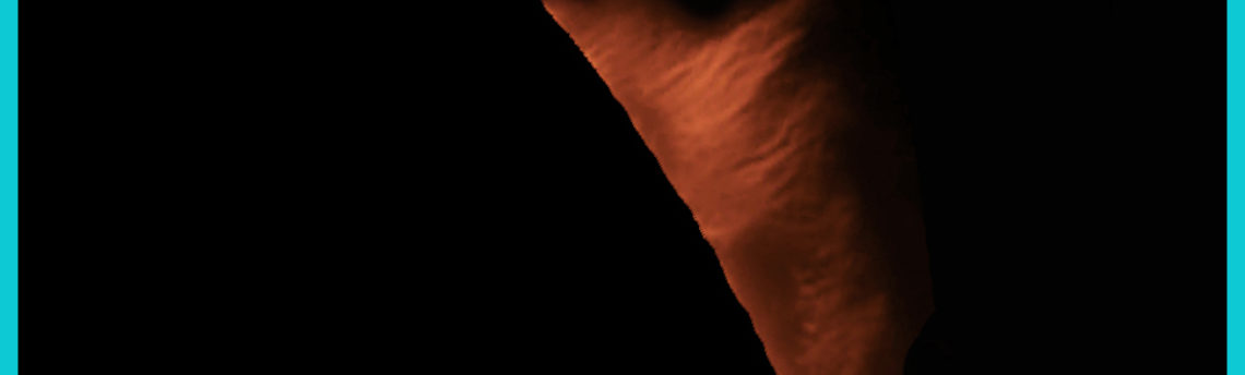 Sole-13-02-08-12-22-55 UT 11 22 55