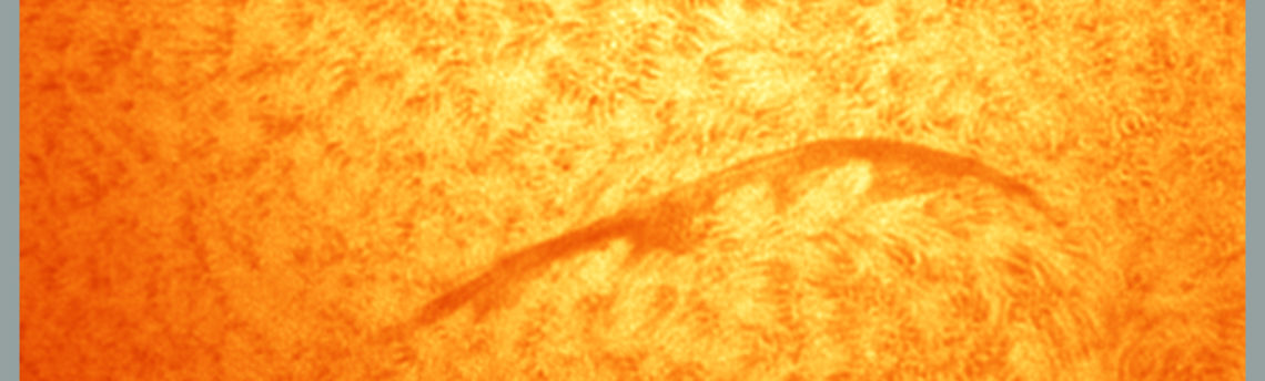 Filamento  Solare 13-09-26 h  10-31-00 h UT 08 31 00