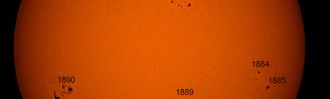 Macchie-Solari–13-11-05-12-45-19.jp