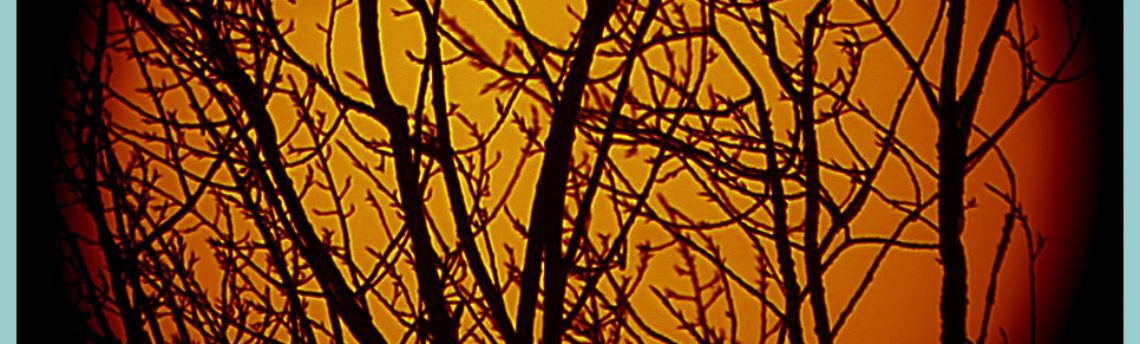 Sole-tramonto-14-02-24-17-34-11-h-16-34-11-UT