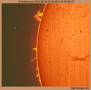 Protuberanze DBK 31  14-08-30 12-43-36 h 10 43 36 UT