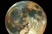 Full Moon #Wolf
