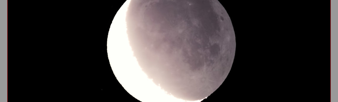 Luna cinerea 21 01 2018
