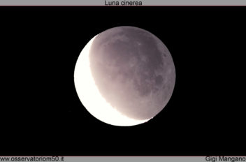 Luna cinerea 21 01 2018