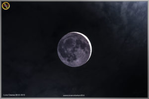 luna-cinerea-08-03-2019