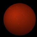 sole 26052025 prova